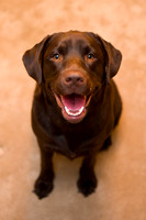 Aiden_Messina_1year_images-163-2