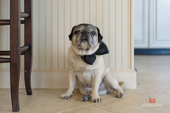 Sasha_Bruce_Elia_Wedding_0027
