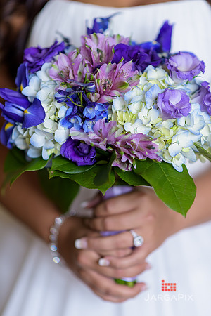 ACelebs_Wedding_8-5-2016-0277