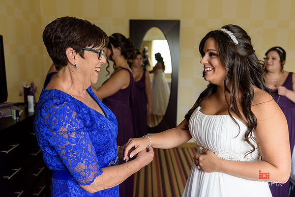 ACelebs_Wedding_8-5-2016-0223