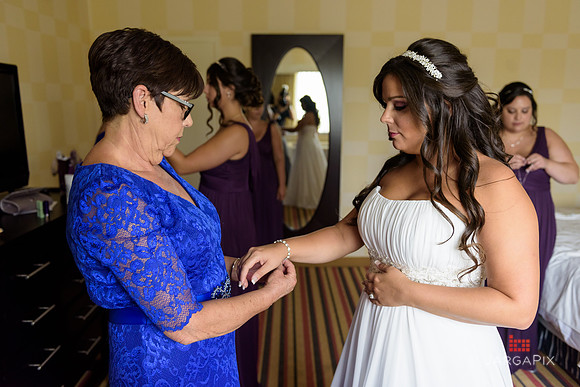 ACelebs_Wedding_8-5-2016-0222