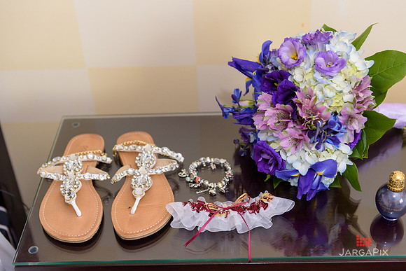 ACelebs_Wedding_8-5-2016-0092