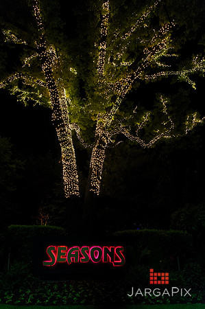 Mandile_Wedding-740