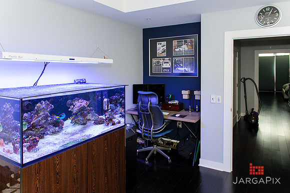 Mike_Akkus_Betterhomes_Realty_Edgewater_Aventine_property-018