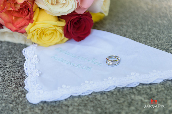 Stephanie_Mark_Civil_Ceremony_Preview-040