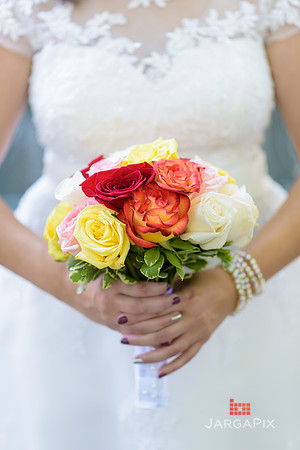 Stephanie_Mark_Civil_Ceremony_Preview-030
