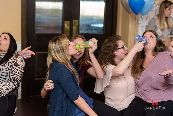 saible_Pauliee_Babyshower_11-11-2017-227