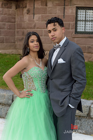 Destenie_SDS_11-2-2014-019