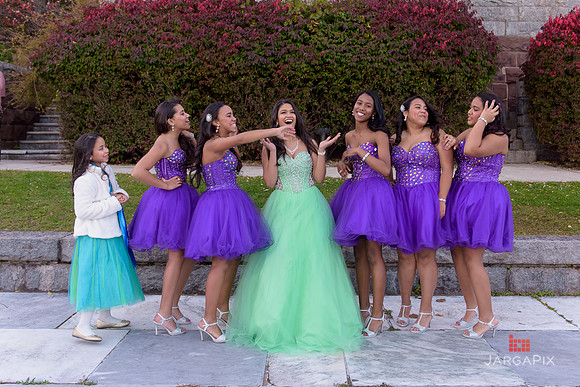 Destenie_SDS_11-2-2014-002