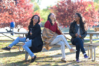 Destenie_Sweet_16_Portraits-004
