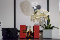 Soho_Exp_Remy_LOUISXIII_66E11thStreet_3-5-2015-022