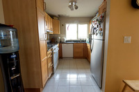 Mike_Vicchio_real_Estate_Listing_389_jersey_ave_fairview-012
