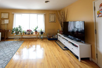 Mike_Vicchio_real_Estate_Listing_389_jersey_ave_fairview-007
