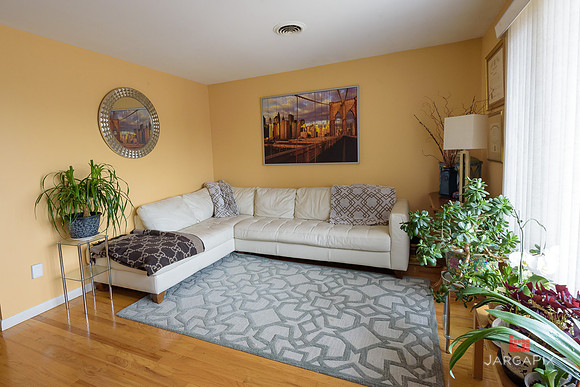 Mike_Vicchio_real_Estate_Listing_389_jersey_ave_fairview-004