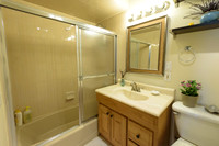 Mike_Vicchio_real_Estate_Listing_389_jersey_ave_fairview-020