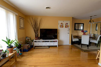 Mike_Vicchio_real_Estate_Listing_389_jersey_ave_fairview-006