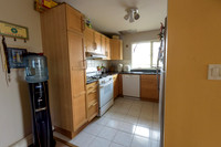 Mike_Vicchio_real_Estate_Listing_389_jersey_ave_fairview-013