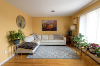 Mike_Vicchio_real_Estate_Listing_389_jersey_ave_fairview-003