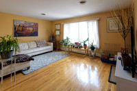 Mike_Vicchio_real_Estate_Listing_389_jersey_ave_fairview-001