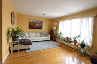 Mike_Vicchio_real_Estate_Listing_389_jersey_ave_fairview-002