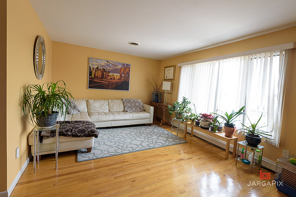 Mike_Vicchio_real_Estate_Listing_389_jersey_ave_fairview-002