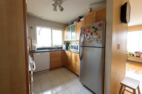 Mike_Vicchio_real_Estate_Listing_389_jersey_ave_fairview-014