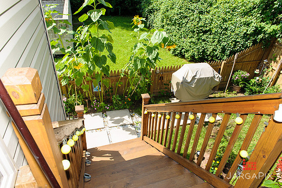Michael_Akkus_239_Hope_Street_E.Rutherford_Listing-026