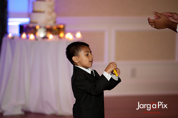 Jimmy_Radha_Wedding-0763