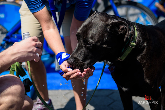Soho_Exp_CitiBike_Union_Square_2017-086