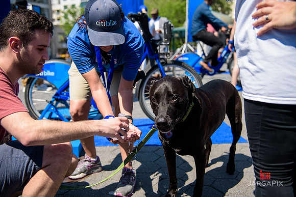 Soho_Exp_CitiBike_Union_Square_2017-081