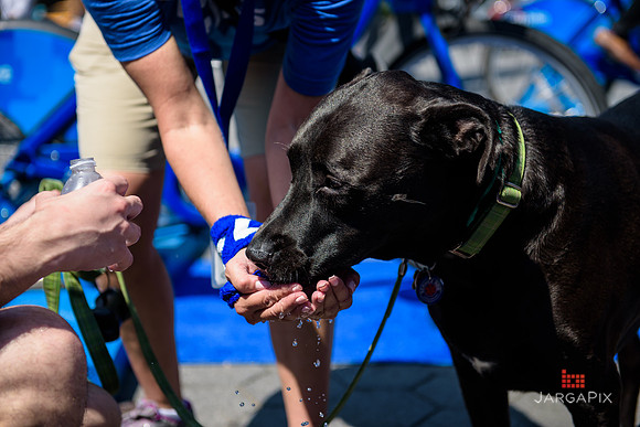 Soho_Exp_CitiBike_Union_Square_2017-087