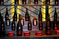 Robin_Thicke_Birthday_Remy_Martin__SoHo_Exp_2013-017