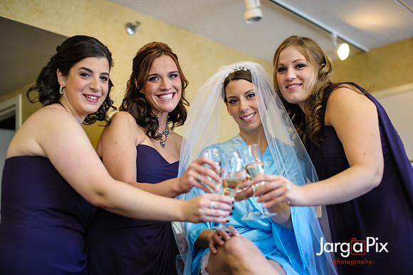 Nathalie & Brendan Wedding Preview