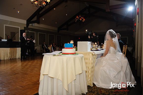 Nathalie & Brendan Wedding Preview