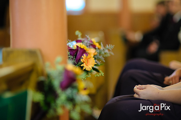Nathalie & Brendan Wedding Preview