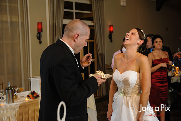 Nathalie & Brendan Wedding Preview