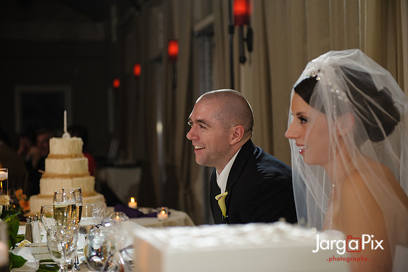 Nathalie & Brendan Wedding Preview