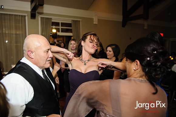 Nathalie & Brendan Wedding Preview