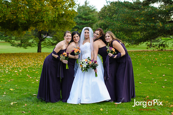Nathalie & Brendan Wedding Preview