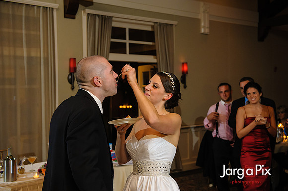 Nathalie & Brendan Wedding Preview