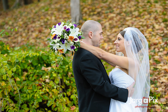 Nathalie & Brendan Wedding Preview