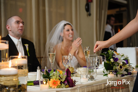 Nathalie & Brendan Wedding Preview
