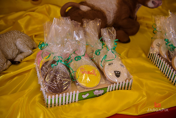 Mike_Rabbah_1st_birthday_Slideshow-10