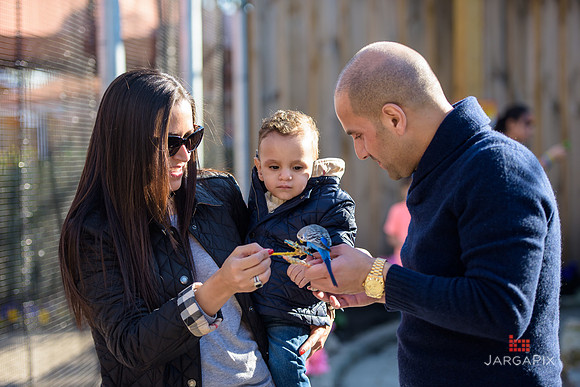 Mike_Rabbah_1st_birthday_Slideshow-121