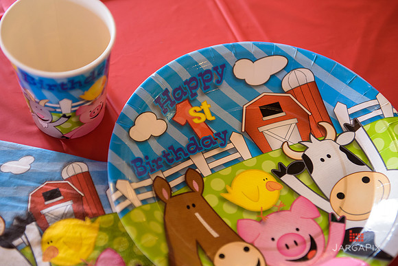 Mike_Rabbah_1st_birthday_Slideshow-13
