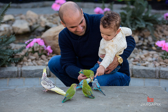 Mike_Rabbah_1st_birthday_Slideshow-117