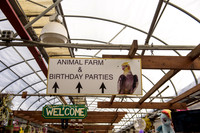 Mike_Rabbah_1st_birthday_Slideshow-4