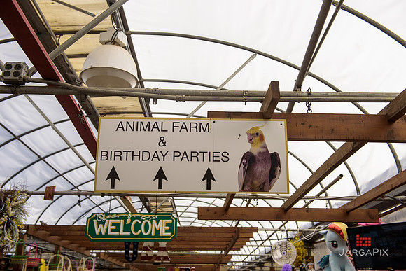 Mike_Rabbah_1st_birthday_Slideshow-4