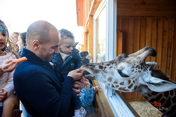 Mike_Rabbah_1st_birthday_Slideshow-125