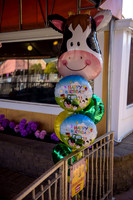 Mike_Rabbah_1st_birthday_Slideshow-6